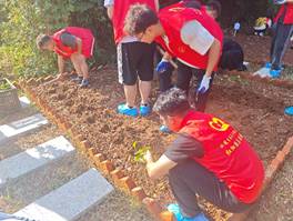 韦德体育bevictor