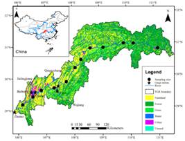韦德体育bevictor