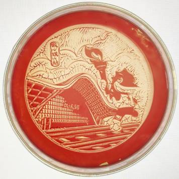 韦德体育bevictor