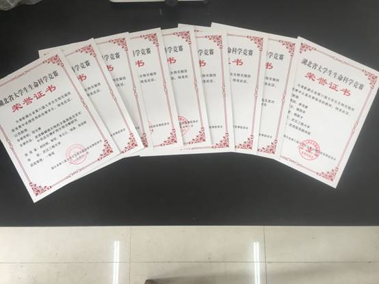 韦德体育bevictor