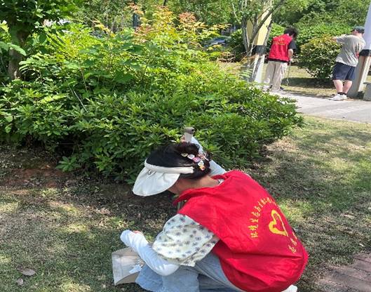 韦德体育bevictor