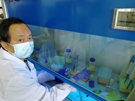 韦德体育bevictor