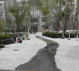 韦德体育bevictor