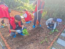 韦德体育bevictor