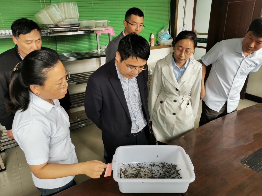 韦德体育bevictor