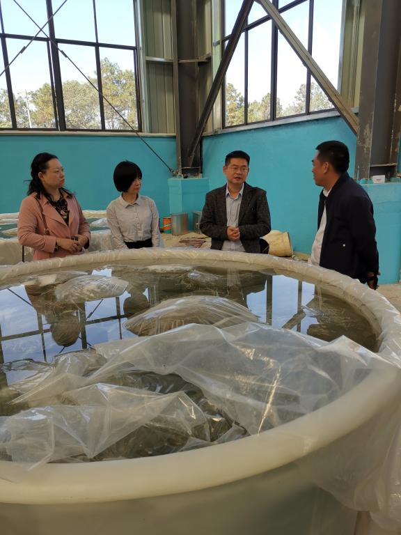 韦德体育bevictor