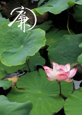 韦德体育bevictor