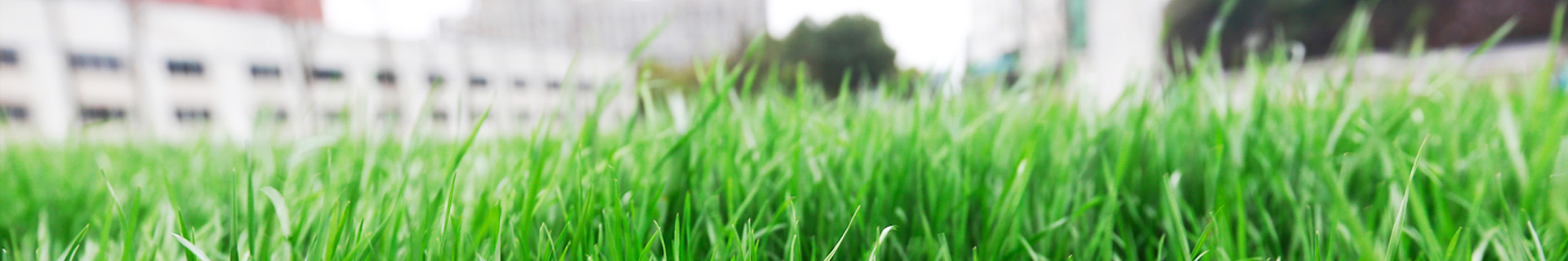 韦德体育bevictor